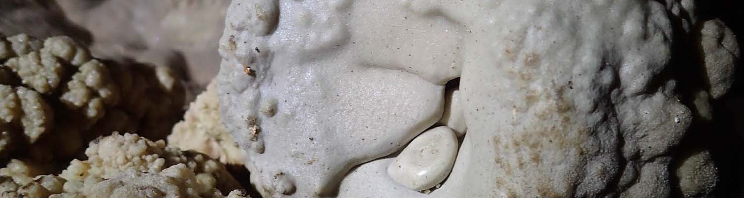 Artigo_Alecrineiros2