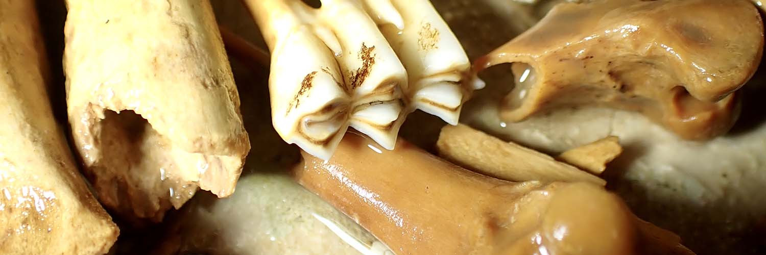 Artigo_Alecrineiros20