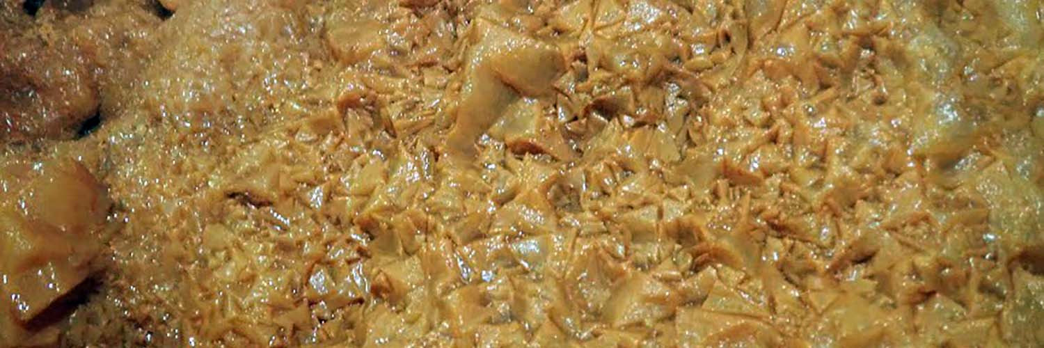 Artigo_Alecrineiros22