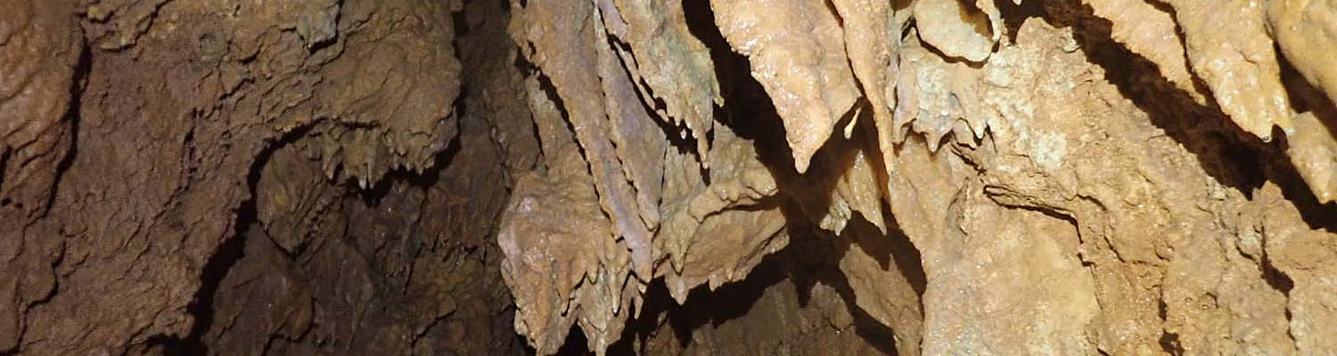 Artigo_Alecrineiros25 Artigo_Alecrineiros25