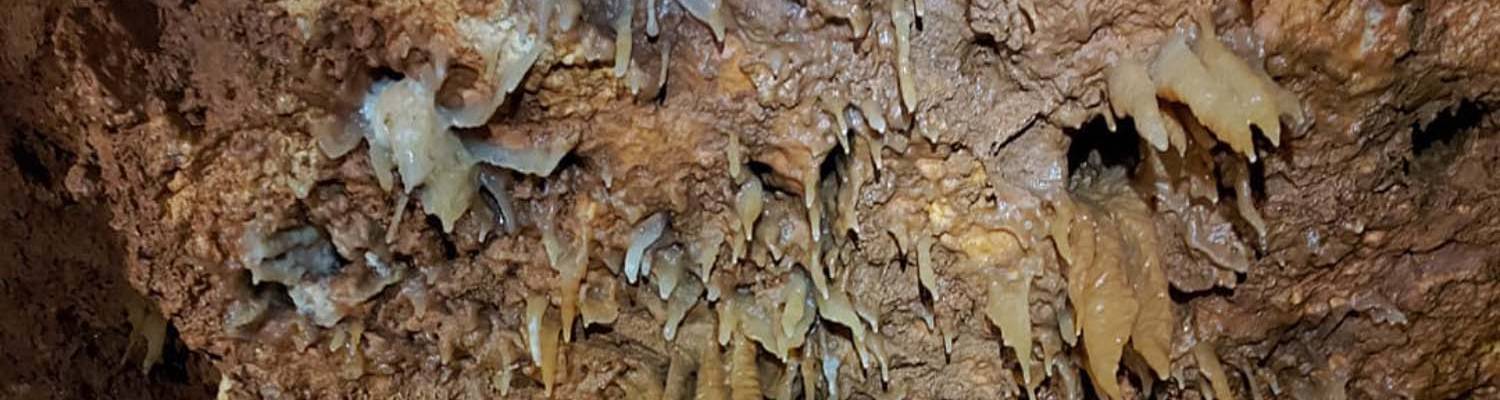 Artigo_Alecrineiros27