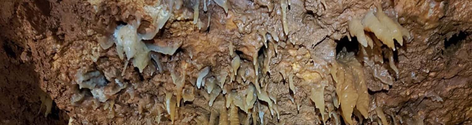 Artigo_Alecrineiros27