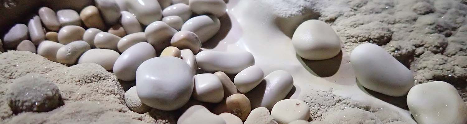 Artigo_Alecrineiros5