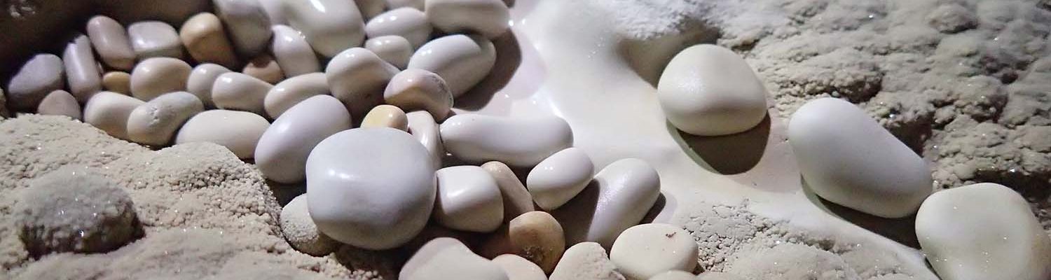 Artigo_Alecrineiros5