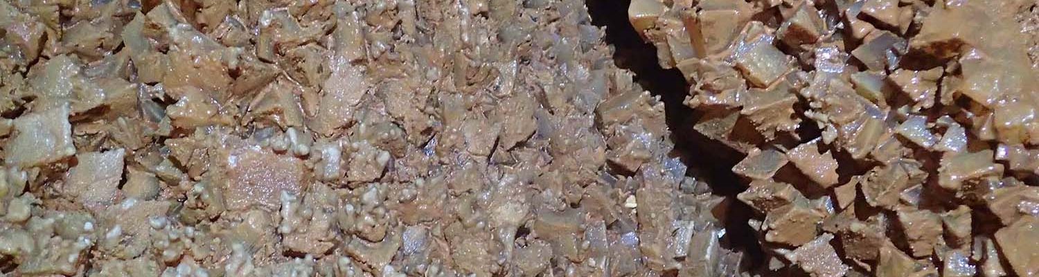 Artigo_Alecrineiros8