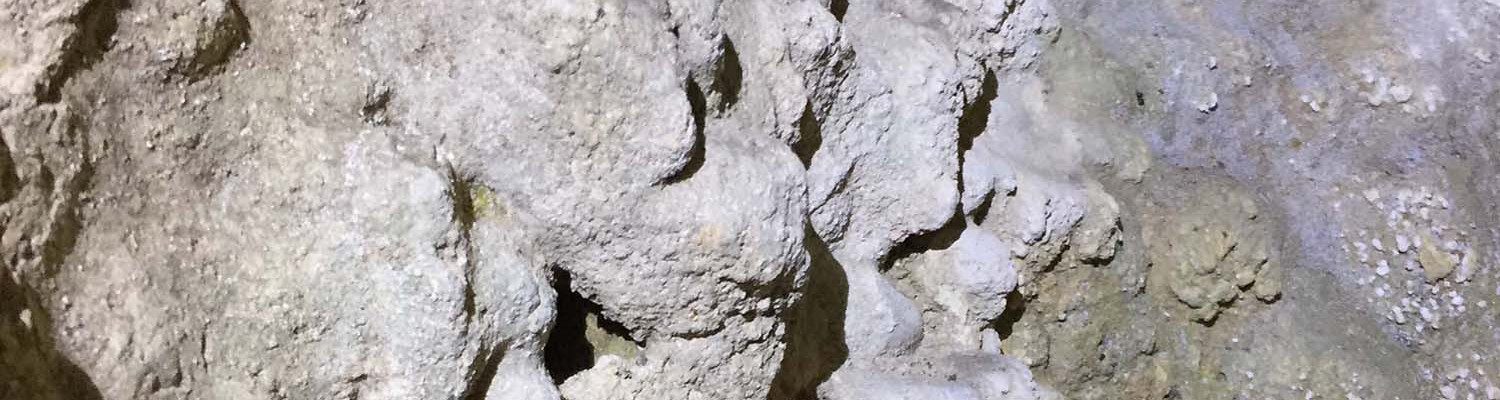 Artigo_Alecrineiros9