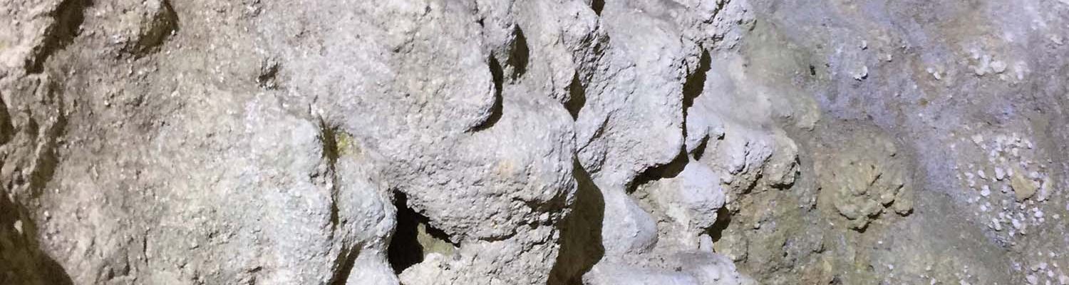 Artigo_Alecrineiros9