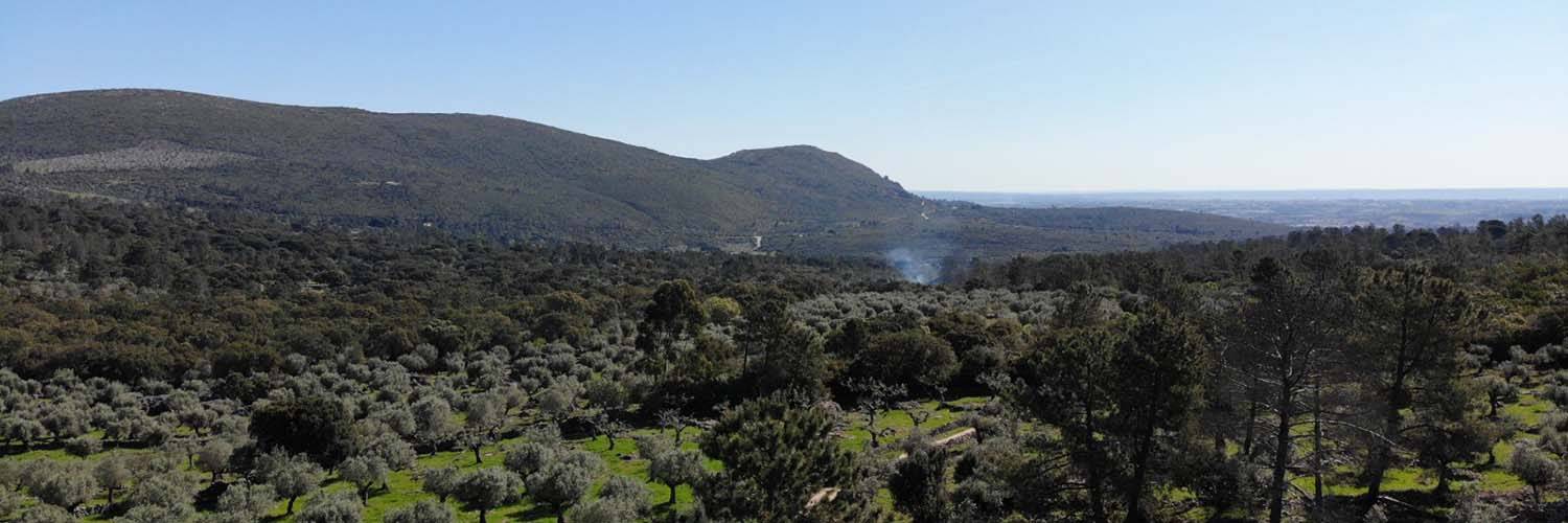 Artigo_Corredor Vale da Trave - Moitas Venda