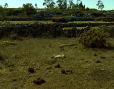 DSC00124
