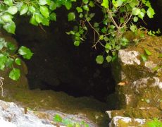DSC01426