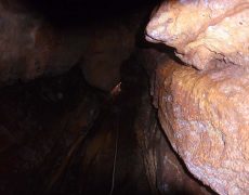 DSC02417