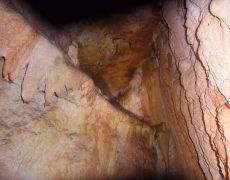 DSC02420