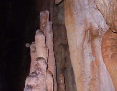 DSC02431