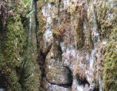 DSC05009