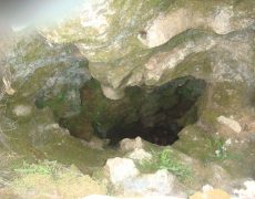 DSC05037