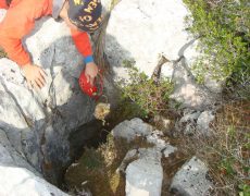 Figura 7 - Entrada do Algar Pena Traseira 9 (Foto: Jorge Faustino - GEM)