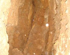DSC05068