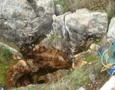 DSC05083