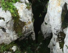 DSC05125