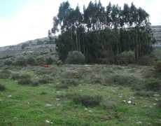 DSC05134