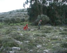 DSC05135