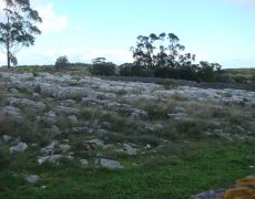 DSC05139