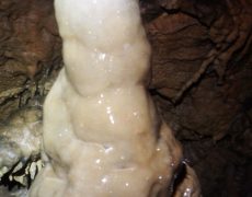 DSCF5193