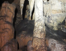 Figura 5 – Aspeto do interior da gruta. (Foto: Florbela Silva)