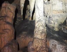 Figura 5 – Aspeto do interior da gruta. (Foto: Florbela Silva)