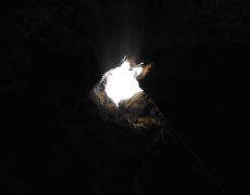 DSCF6668