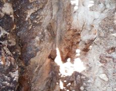 DSCF6672