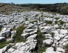 DSCF6676