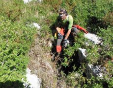 Figura 8 - Algar do Musgo  (Foto: Pedro Frade - C.E.A.E.)