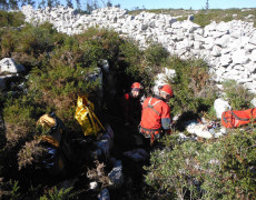 Figura 4 - Algar Encalhoado (Foto: Paulo Rodrigues - GEM)