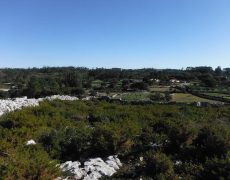 DSCF6938