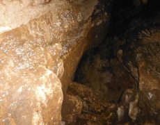 DSCF6958