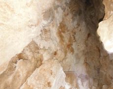 DSCF6974