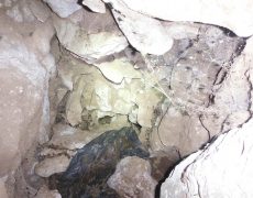 DSCF7035