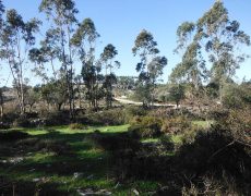 DSCF7078