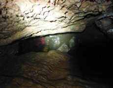 DSCF7084