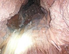 DSCF7091