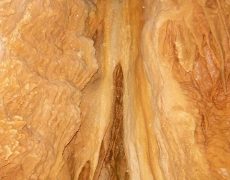 DSCF7093