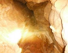 DSCF7099