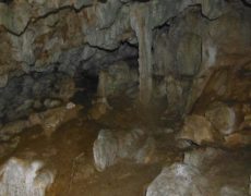 DSCF7129