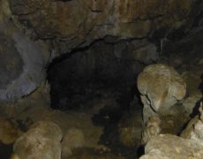 DSCF7131