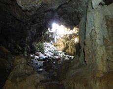 DSCF7133