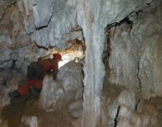 DSCF7137