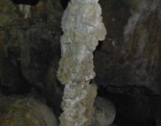 DSCF7139