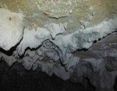 DSCF7147