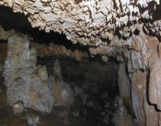 DSCF7151